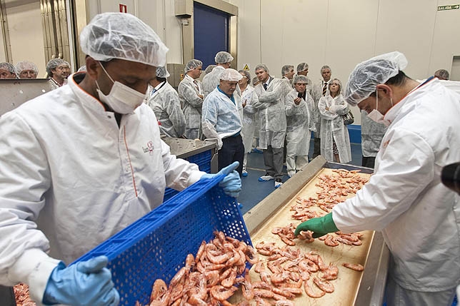 Se registraron 6.687 contratos a jóvenes peones de industrias manufactureras. DP
