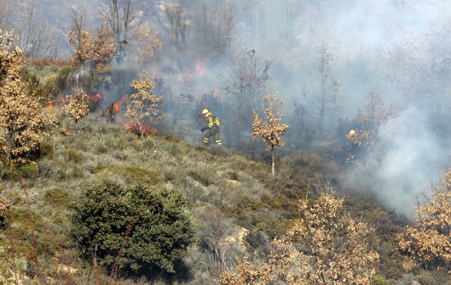 Los incendios forestales centraron gran parte de la actividad de los agentes del Seprona en Castilla y León durante el primer semestre del año. Ical
