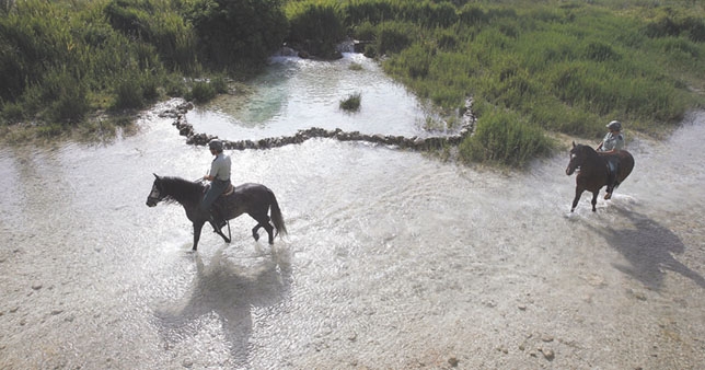 Dos jinetes a caballo vigilan en la zona de la laguna del Rey. Tomás Fdez. de Moya