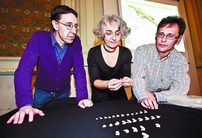 Xavier Pereda (i), Nathalie Bardet y Fidel Torcida mostraron los restos fósiles, 29 vértebras, del lagarto. Luis López Araico