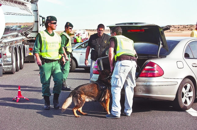 Uno de los perros del Servicio Cinológico olisquea unas maletas.  Patricia González