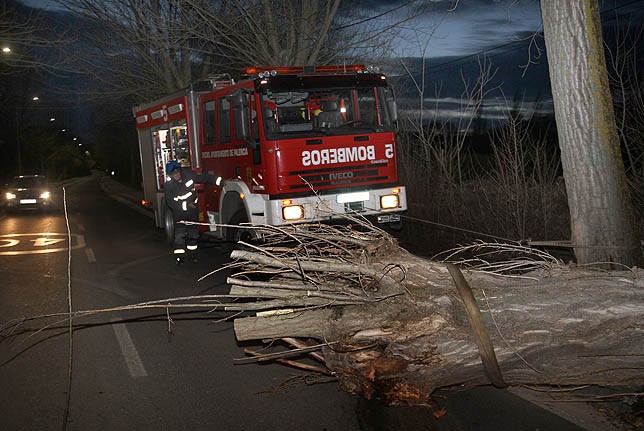 Imagen de los Bomberos de Palencia junto a un árbol caído en la noche del martes. Brágimo