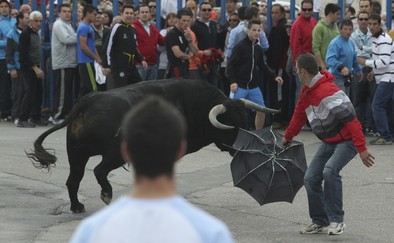 Toros y pinchos en Aldeamayor
