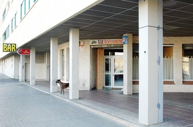 Una mujer palentina está grave tras recibir nueve puñaladas de su pareja