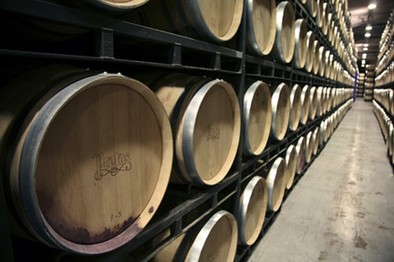 Bodegas Protos supera su récord de ventas en 2012, con 5,44 millones de botellas de vino comercializadas