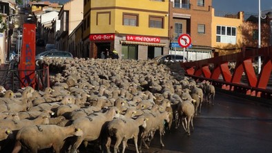 La Mesta sigue viva