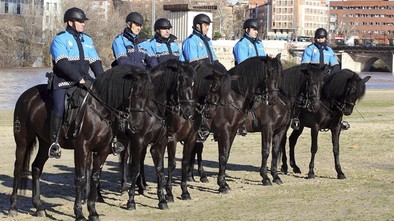 115.000 euros para el alojamiento y manutención de los caballos de la Policía Local