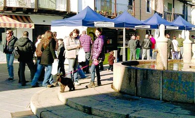 La II Feria Regional del Queso de Cabra contará con 14 empresas del sector