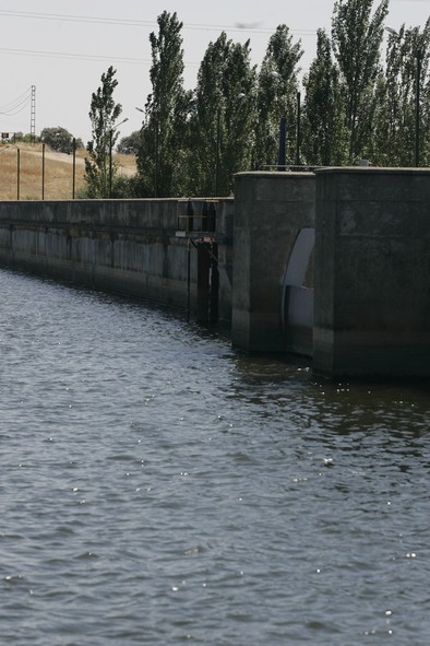 Medio Ambiente destinará 12.000 euros al plan de emergencia para La Portiña