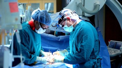 España supera la cifra récord de los 100.000 trasplantes 