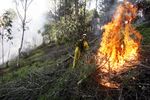 Prevención contra el fuego