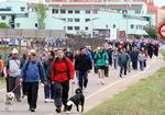 35ª Marcha Asprona