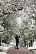 La capital vallisoletana amanece con una nevada la mañana de Viernes Santo