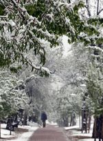 La capital vallisoletana amanece con una nevada la mañana de Viernes Santo
