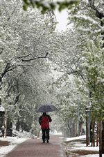 La capital vallisoletana amanece con una nevada la mañana de Viernes Santo
