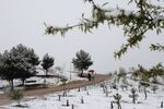 Nevada el día de Viernes Santo en Valladolid