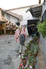 El Pintor Antonio López en Bolaños 