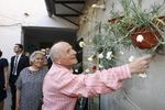El Pintor Antonio López en Bolaños 