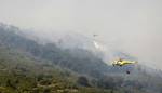 Incendio originado este sábado en Solana de Ávila.
