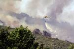 Incendio originado este sábado en Solana de Ávila.