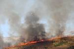 Incendio originado este sábado en Solana de Ávila.
