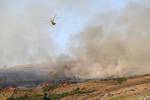 Incendio originado este sábado en Solana de Ávila.
