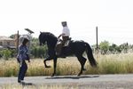Romería de la Virgen de Alarcos de Ciudad real