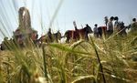 Romería de la Virgen de Alarcos de Ciudad real