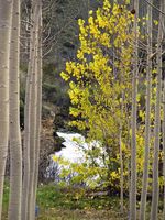 Otoño en Las Lagunas de Ruidera