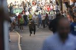 Cientos de personas disfrutaron ayer del primer encierro tras su reciente declaración de Interés Turístico Regional./