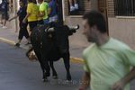 Cientos de personas disfrutaron ayer del primer encierro tras su reciente declaración de Interés Turístico Regional./