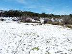 Nieve en las Lagunas de Ruidera
