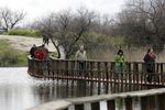 Las Tablas de Daimiel a rebosar de Ag...