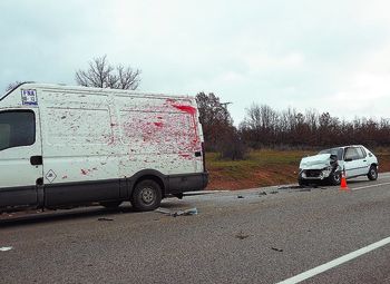La furgoneta golpeó al ciervo y lo lanzó contra el coche de la víctima. Luego el turismo blanco chocó por detrás.  Azúa
