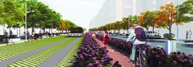 El carril bici es el elemento medular de la calle Vitoria y queda flanqueado por el dedicado a los buses y por el que se reserva a los vehículos. diariodeburgos.es