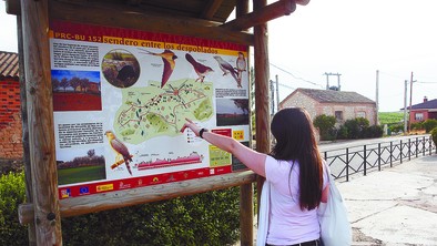 Una completa oferta de rutas de senderismo fue uno de los primeros proyectos globales de la ADRI Ribera del Duero Burgalesa, con gran éxito de paseantes.  diariodeburgos.es