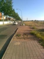 ¿Dónde es más necesario gastar la partida de dinero público para obras y reformas?... ¿En el Prado?, zona céntrica por excelencia completamente urbanizada y ajardinada, ó ¿en terminar aceras como la de la foto en calle Oretana y en arreglar parcelas llenas de insectos como la de la foto junto al Colegio Público Don Quijote? ambos en el Barrio de la Guija... Gracias alcaldesa. Nos acordaremos en las urnas.