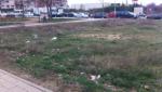 Mi denuncia hace referencia al abandono de una parcela en la plaza Torrente Ballester del barrio de Covaresa, situada al lado del centro de día y residencia de personas con autismo y de una guardería. ¿Cómo es posible que desde el Ayuntamiento se permita ese estado, sin limpieza ni seguridad?
Un saludo