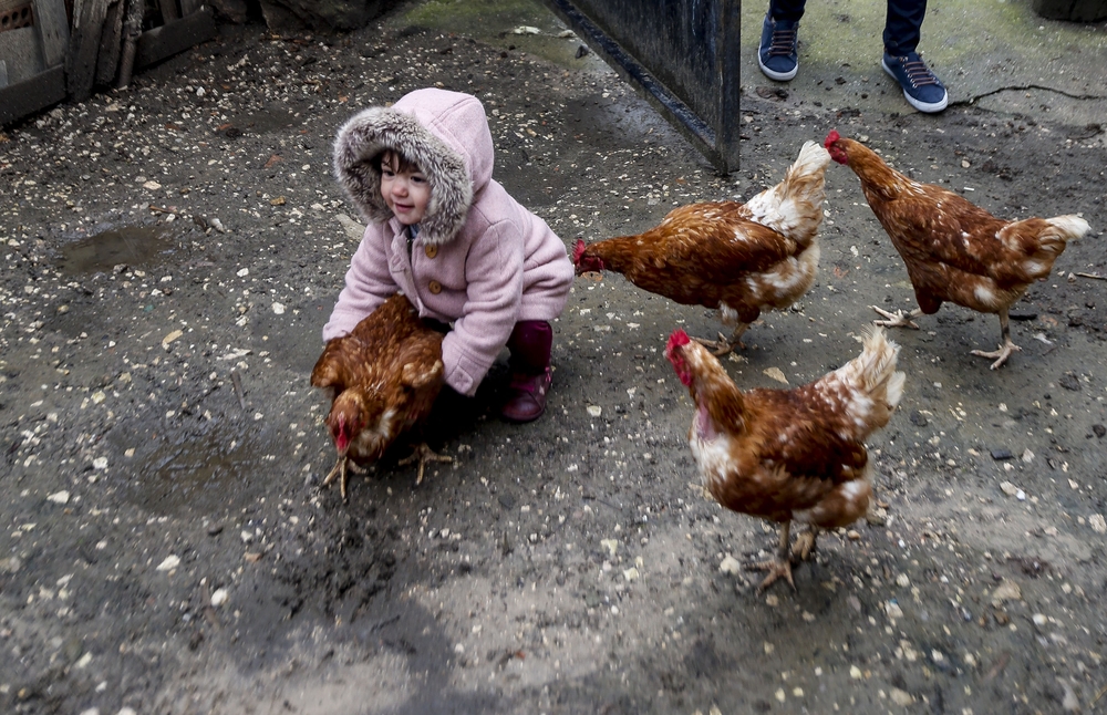 Los niños salen a la calle en Quintanalara