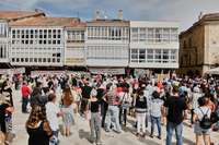 Granjas de cerdos, ¿un negocio para quién y a costa de qué?