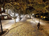 Calles vacías, silencio, soledad...