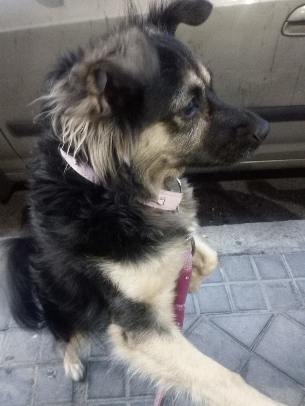 Tus testimonios de #Yomequedoencasa