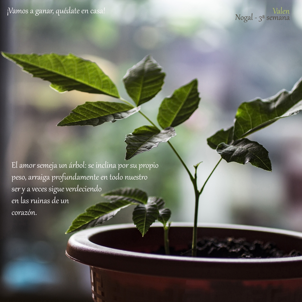 Tus testimonios de #Yomequedoencasa