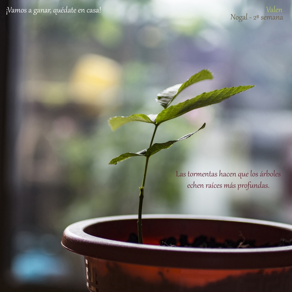 Tus testimonios de #Yomequedoencasa