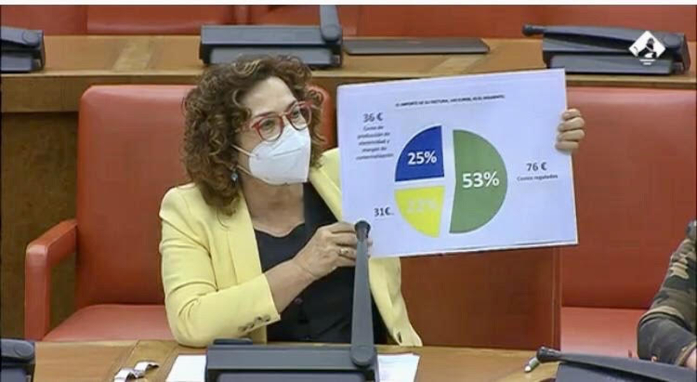 Riolobos exige «medidas urgentes» que bajen el recibo de luz - Vimarsana News