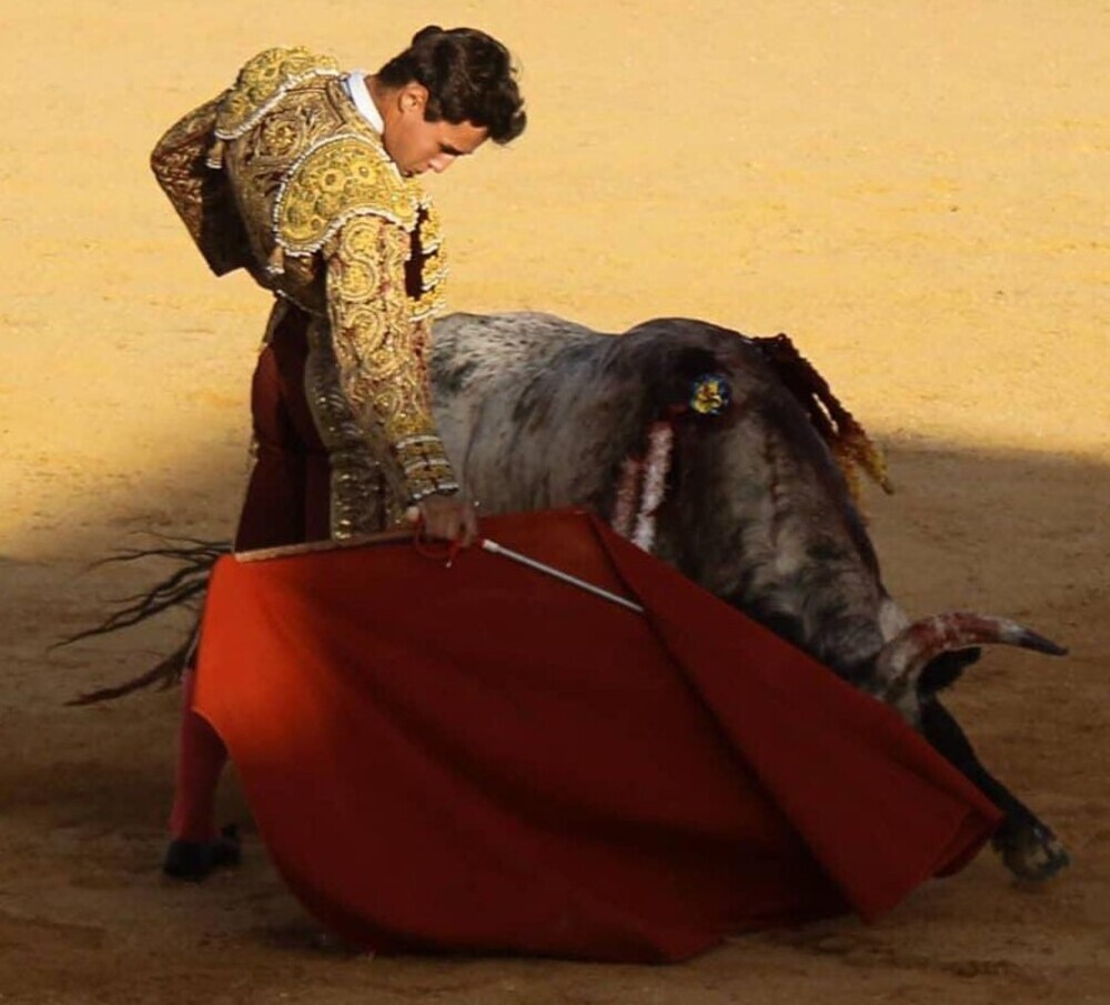 La semifinal de 'Promesas de Nuestra Tierra' tiene color local - Vimarsana News