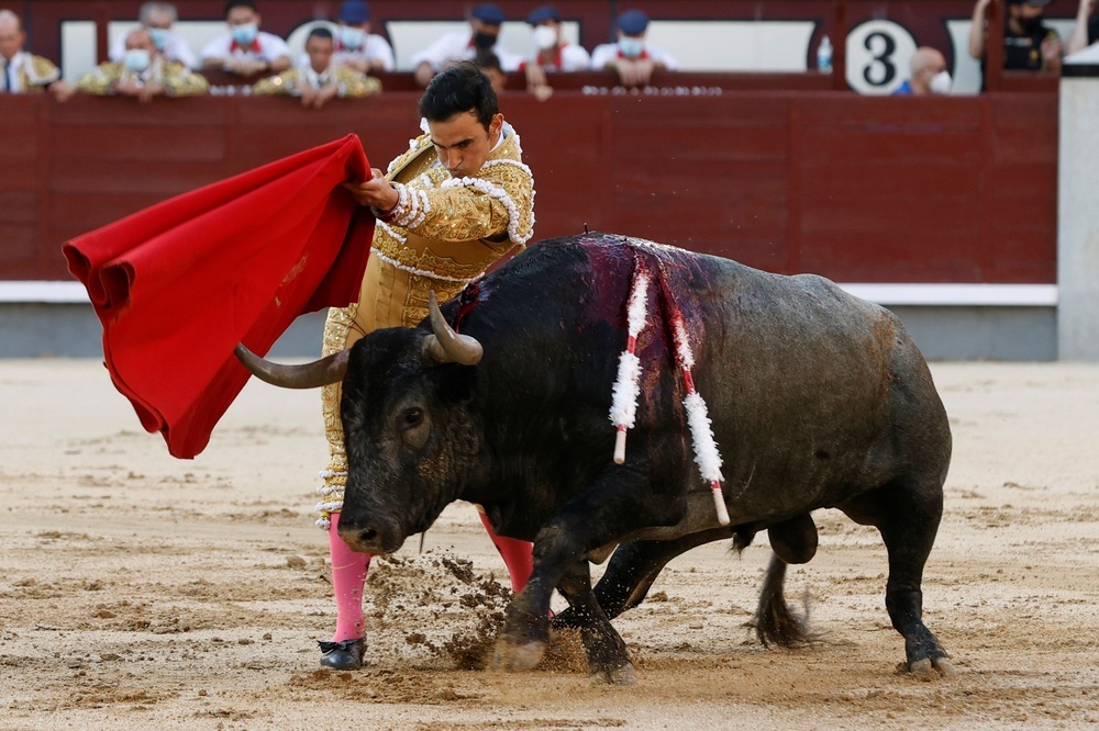 El torero Sergio Serrano triunfó en Manzanares | Noticias La Tribuna de Albacete - Vimarsana News