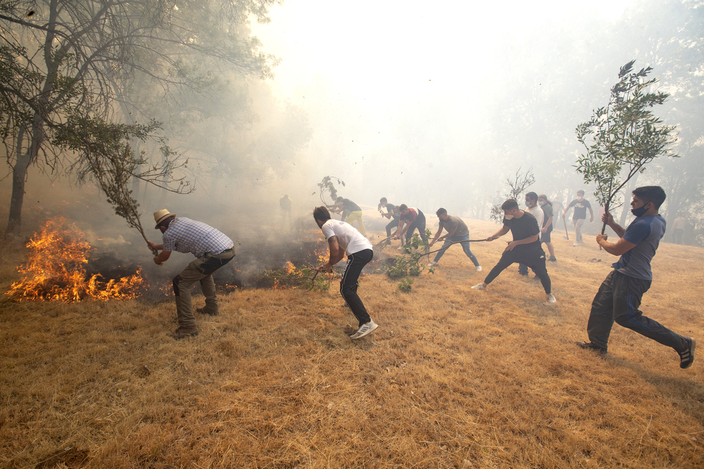 El incendio cobra fuerza al sur de la Paramera | Noticias El Día de Valladolid - Vimarsana News