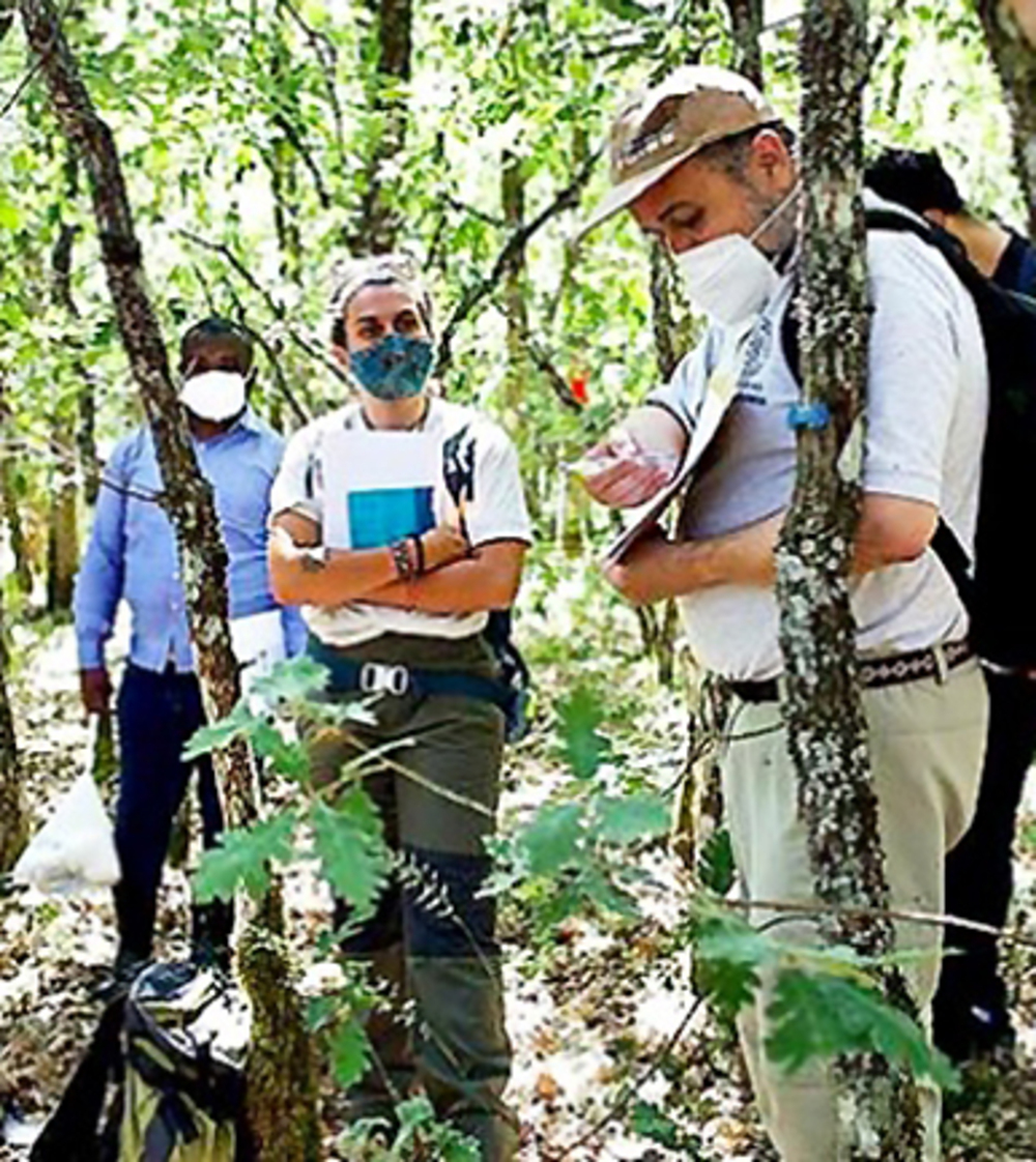 Google premia un proyecto de Agrarias | Todas las noticias de Palencia - Vimarsana News