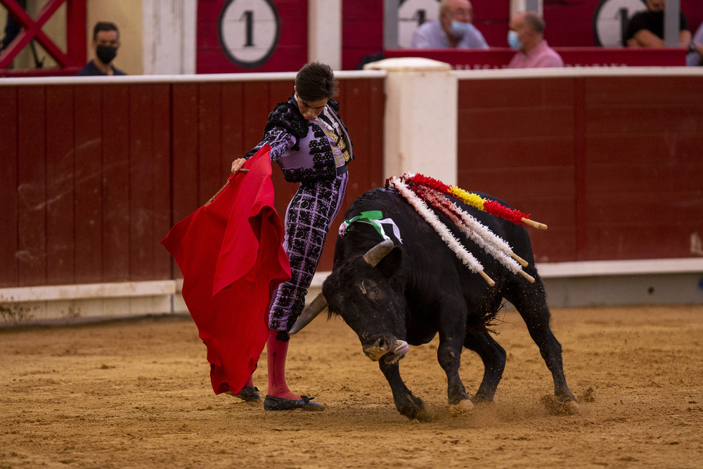 Badajoz tiene un buen vivero - Vimarsana News